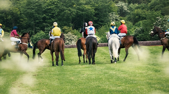 Several horses on a racecourse