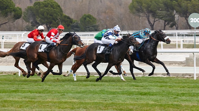 horses racing at Doncaster racecourse