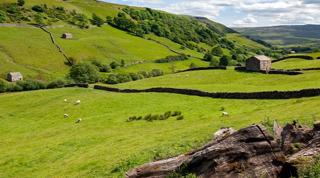 North Yorkshire Dales near Ripon