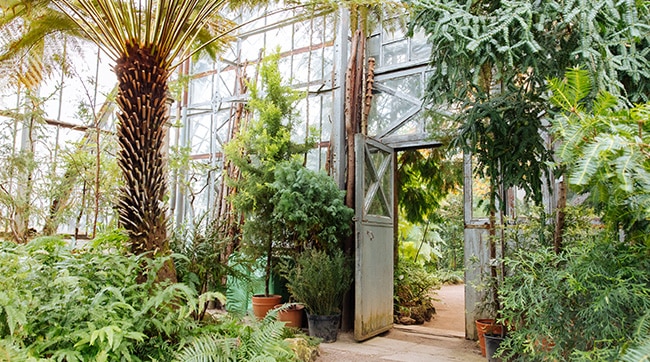 A botanical garden based in Sheffield