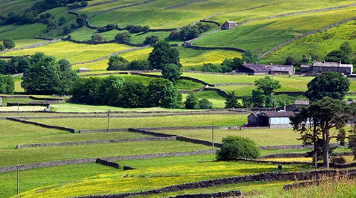 a countryside view in North Yorkshire, UK